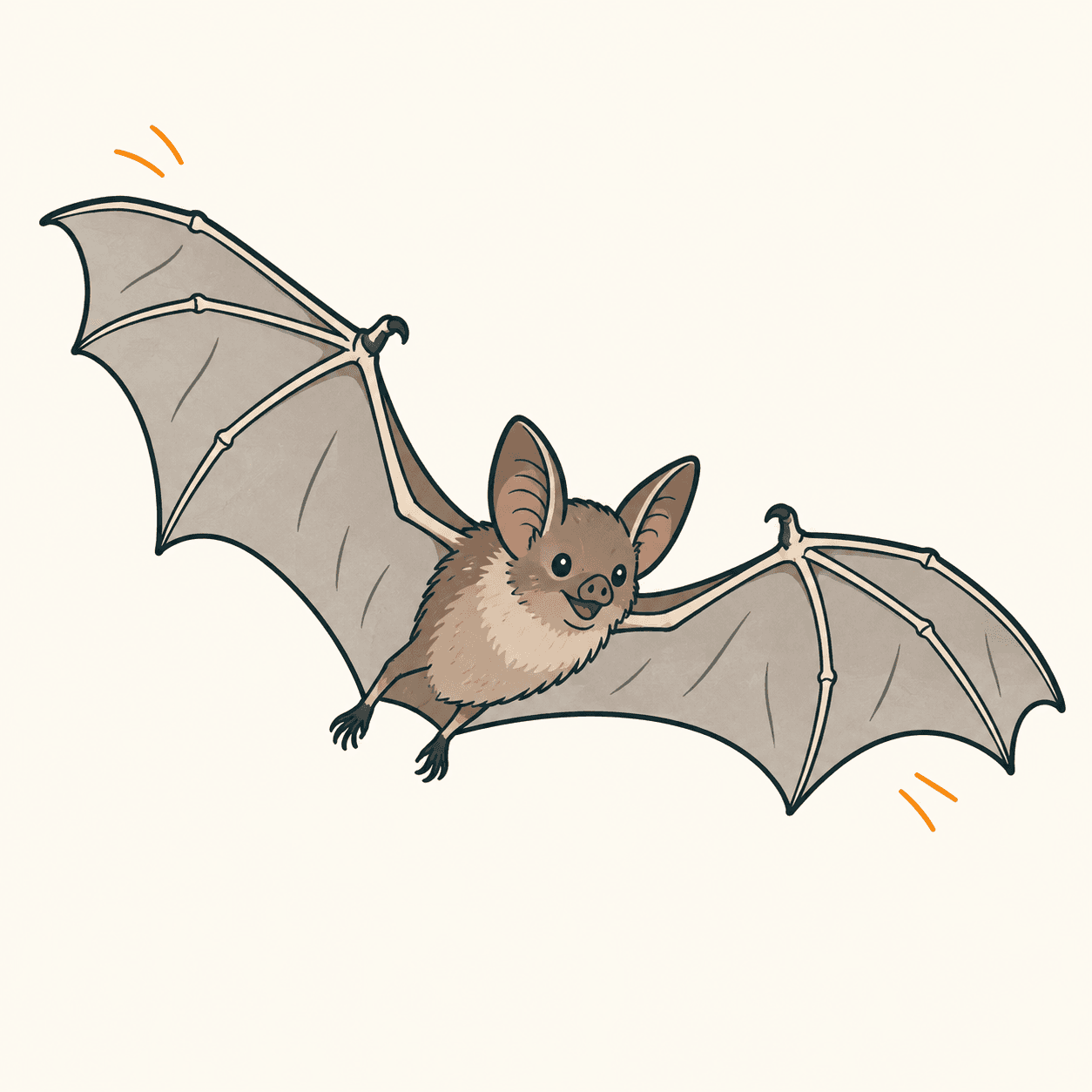 Un pipistrello illustrato in volo, con due ali membranose sostenute da dita allungate, piccoli pollici liberi e due zampe posteriori.