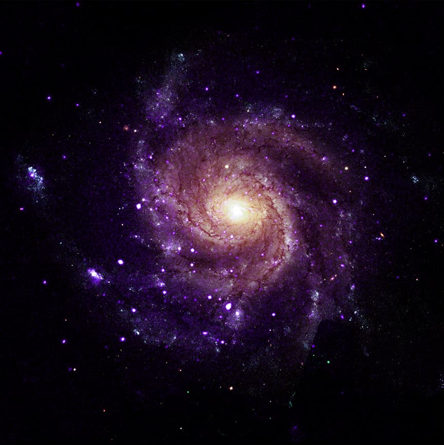La galassia a spirale M101 in una composizione di osservazioni ottiche e raggi X