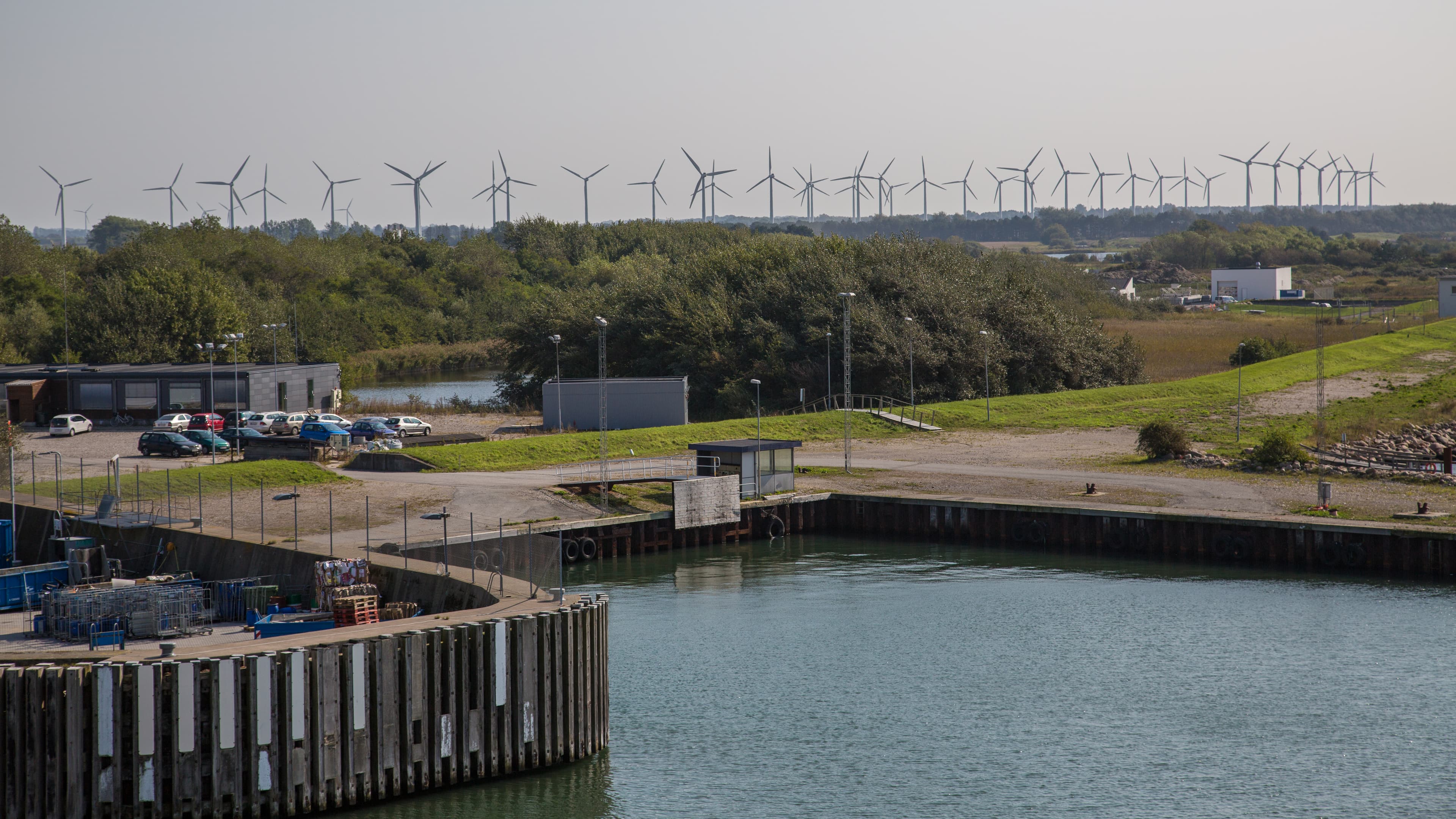 Turbine eoliche oltre il porto e gli alberi di Rødby, in Danimarca