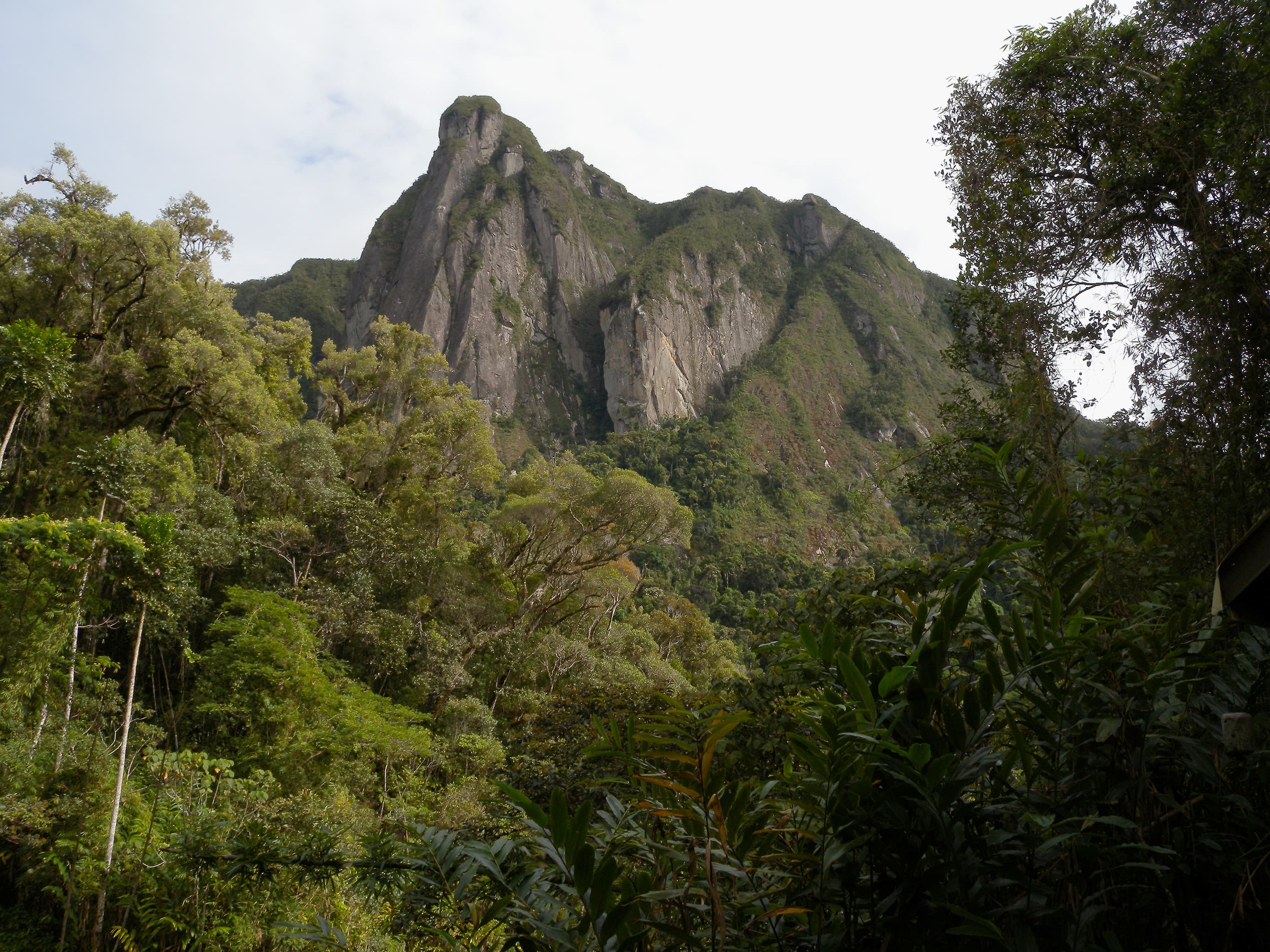 Pareti rocciose e pendii coperti di vegetazione nel Parco nazionale di Marojejy, in Madagascar.