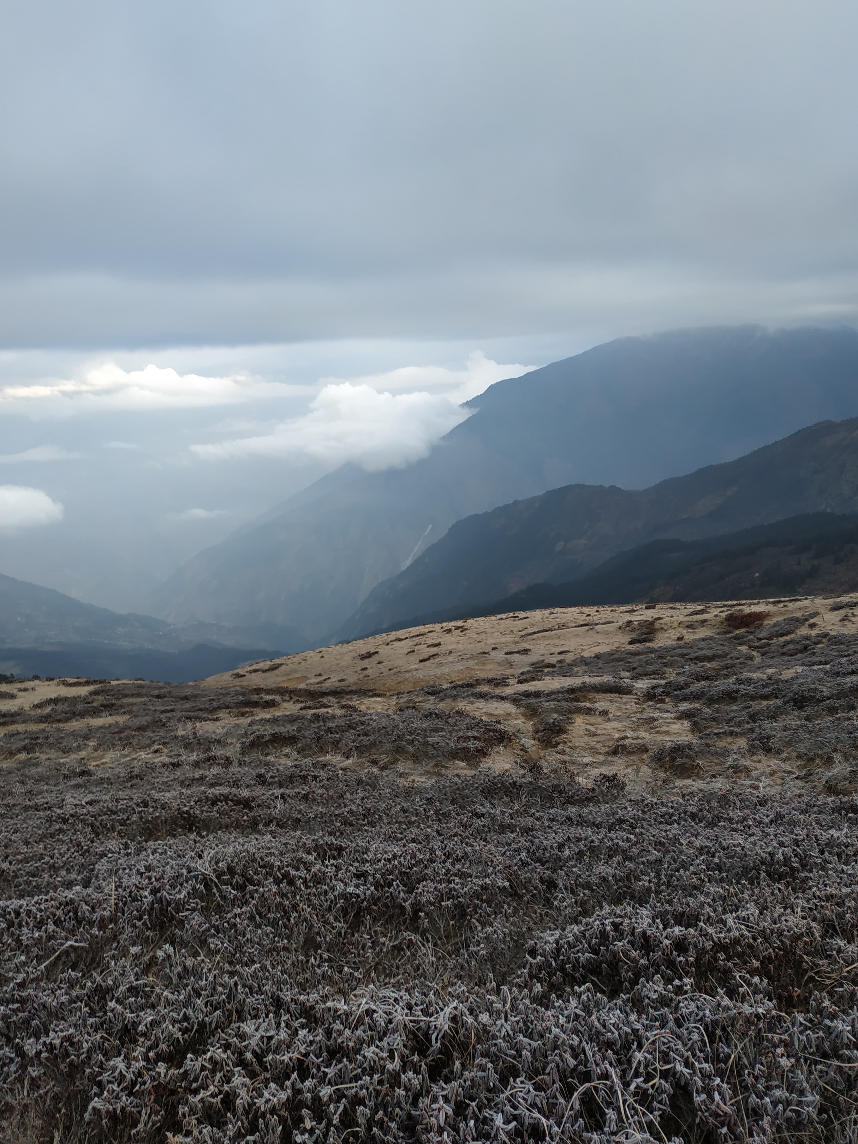 Versanti montuosi di Rasuwa, in Nepal, con vegetazione bassa e nuvole sulla valle.