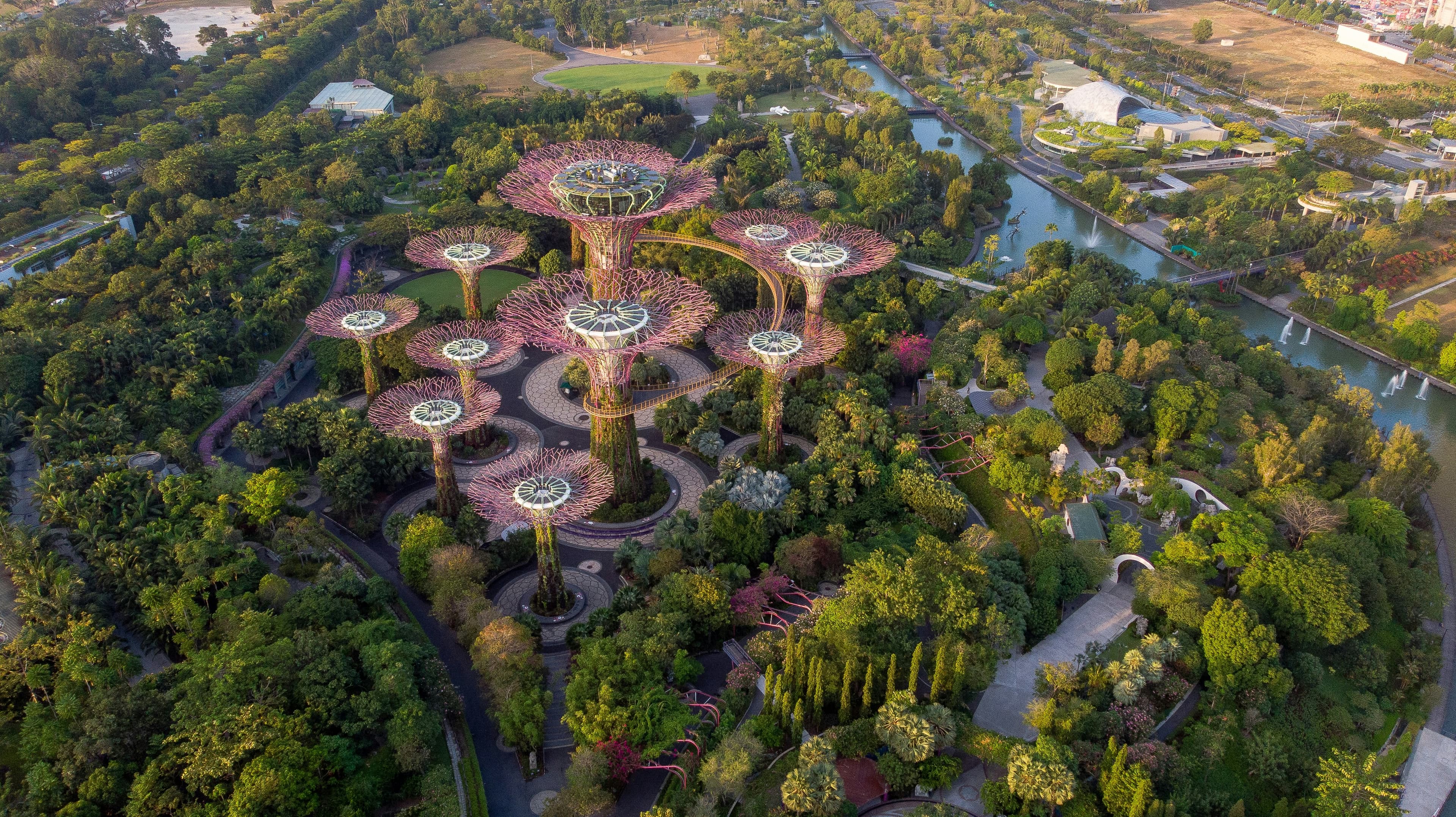 Veduta aerea dei Gardens by the Bay di Singapore, con alberi, acqua e grandi strutture a forma di albero.