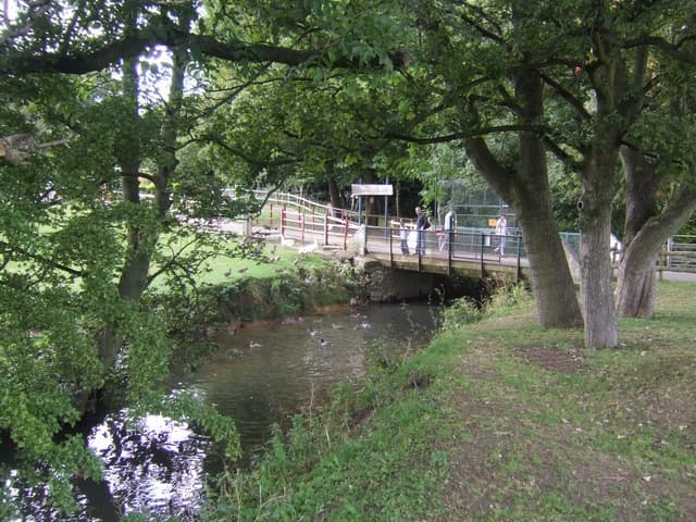 Il fiume Trent sotto un piccolo ponte, fra gli alberi di Bucknall Park.
