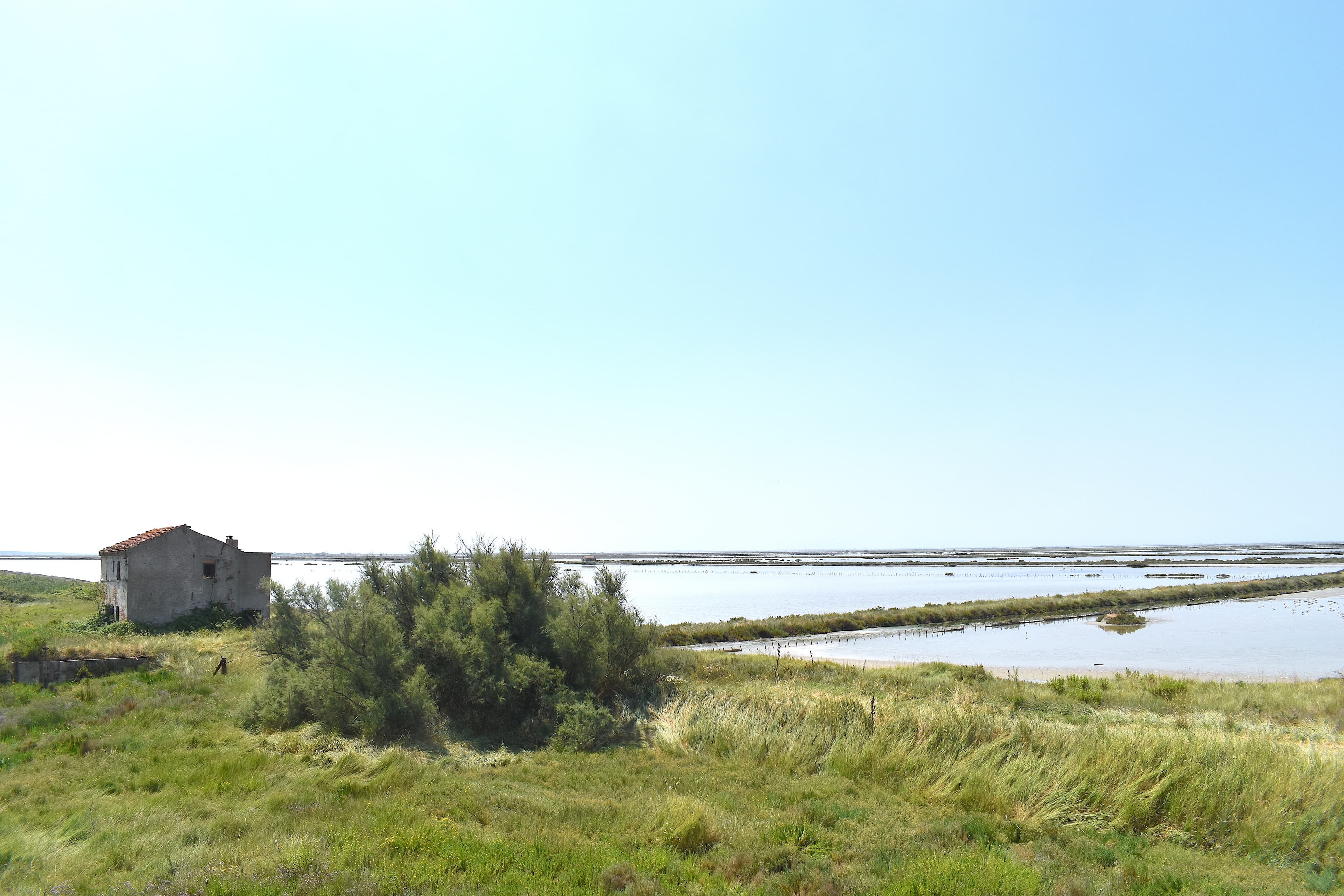 Bacini d’acqua delle saline di Comacchio, argini erbosi e un piccolo edificio.