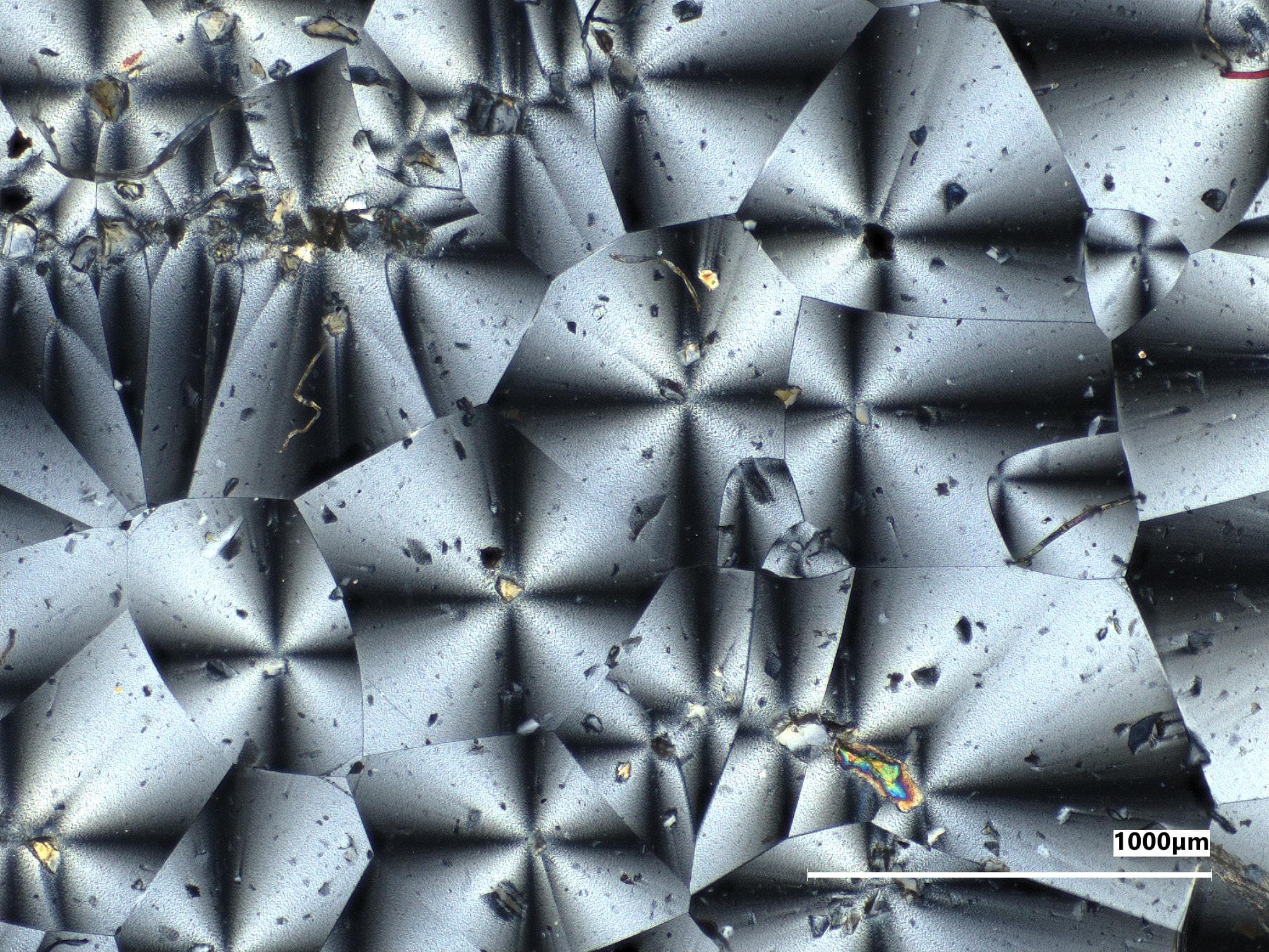 Struttura del materiale sperimentale vista al microscopio, con forme cristalline grigie e una scala di mille micrometri.
