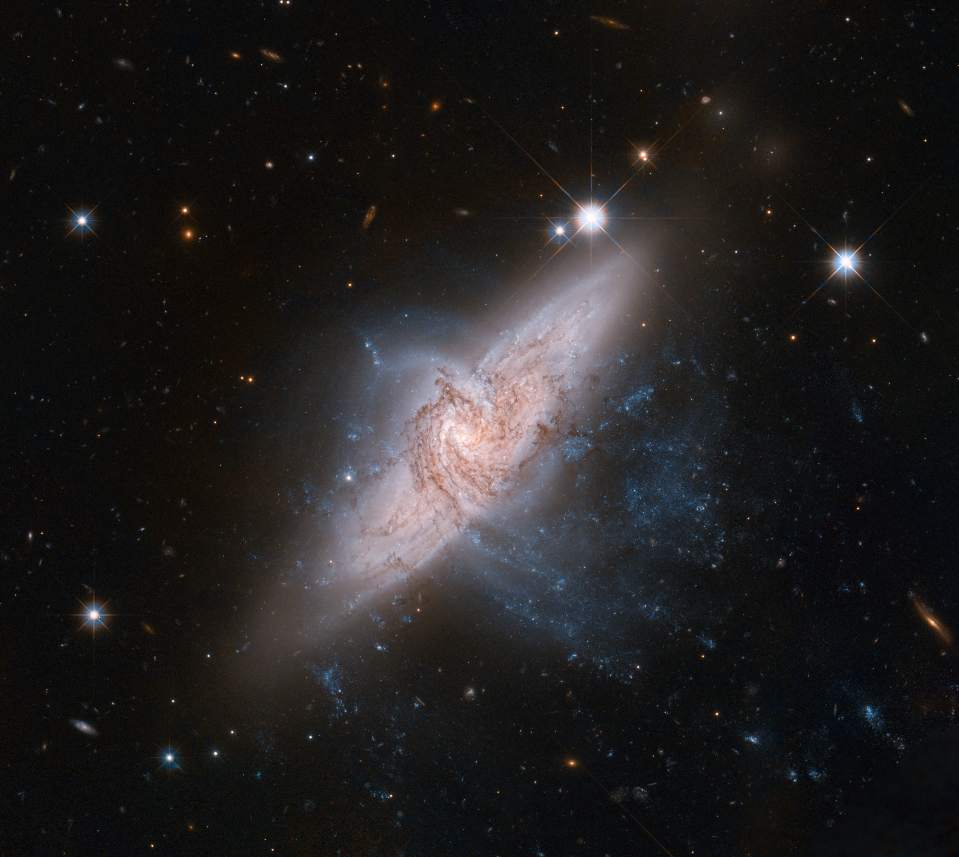 Due galassie di NGC 3314 sovrapposte lungo la linea di vista, con bande scure di polvere.