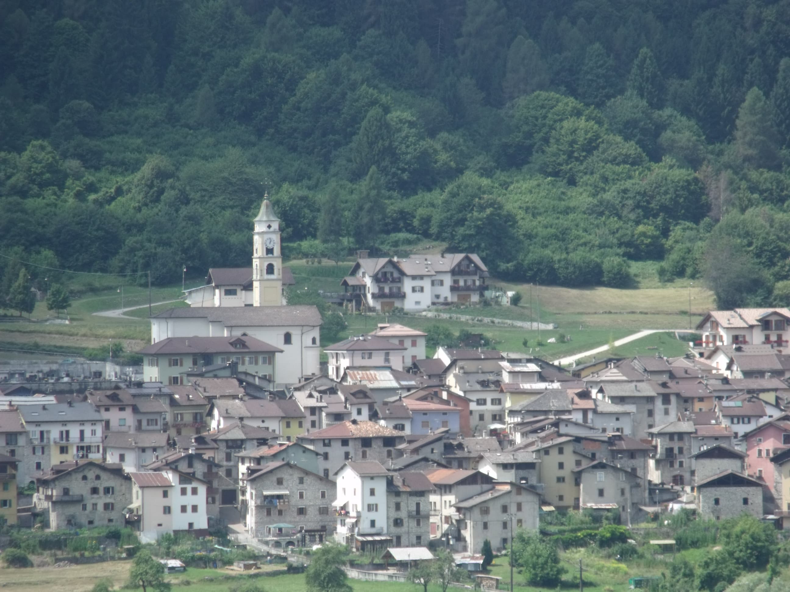 Maisons et clocher à Cinte Tesino, avec des prairies et des bois derrière le village.