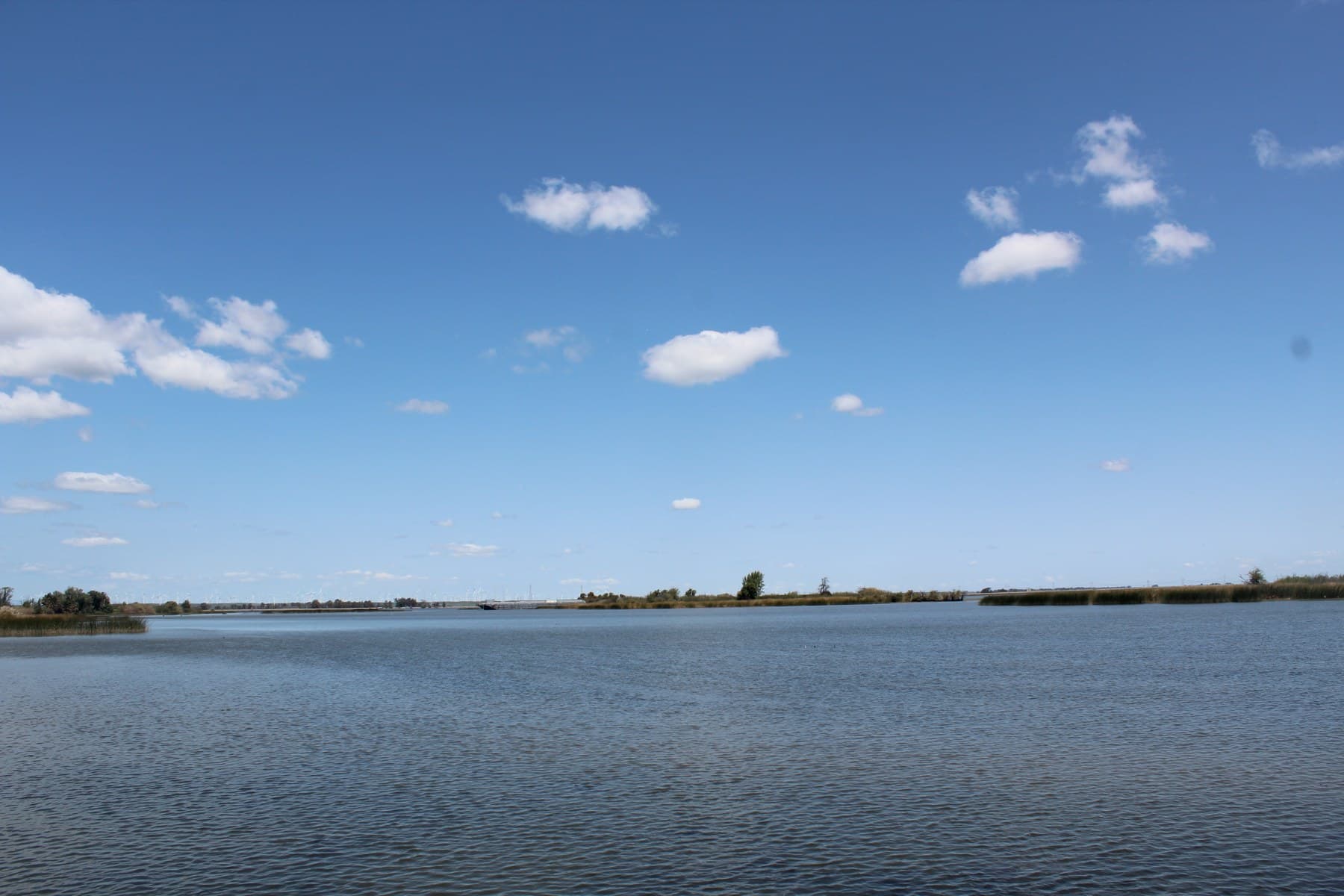 Water in the Sacramento–San Joaquin Delta with low banks beneath a blue sky