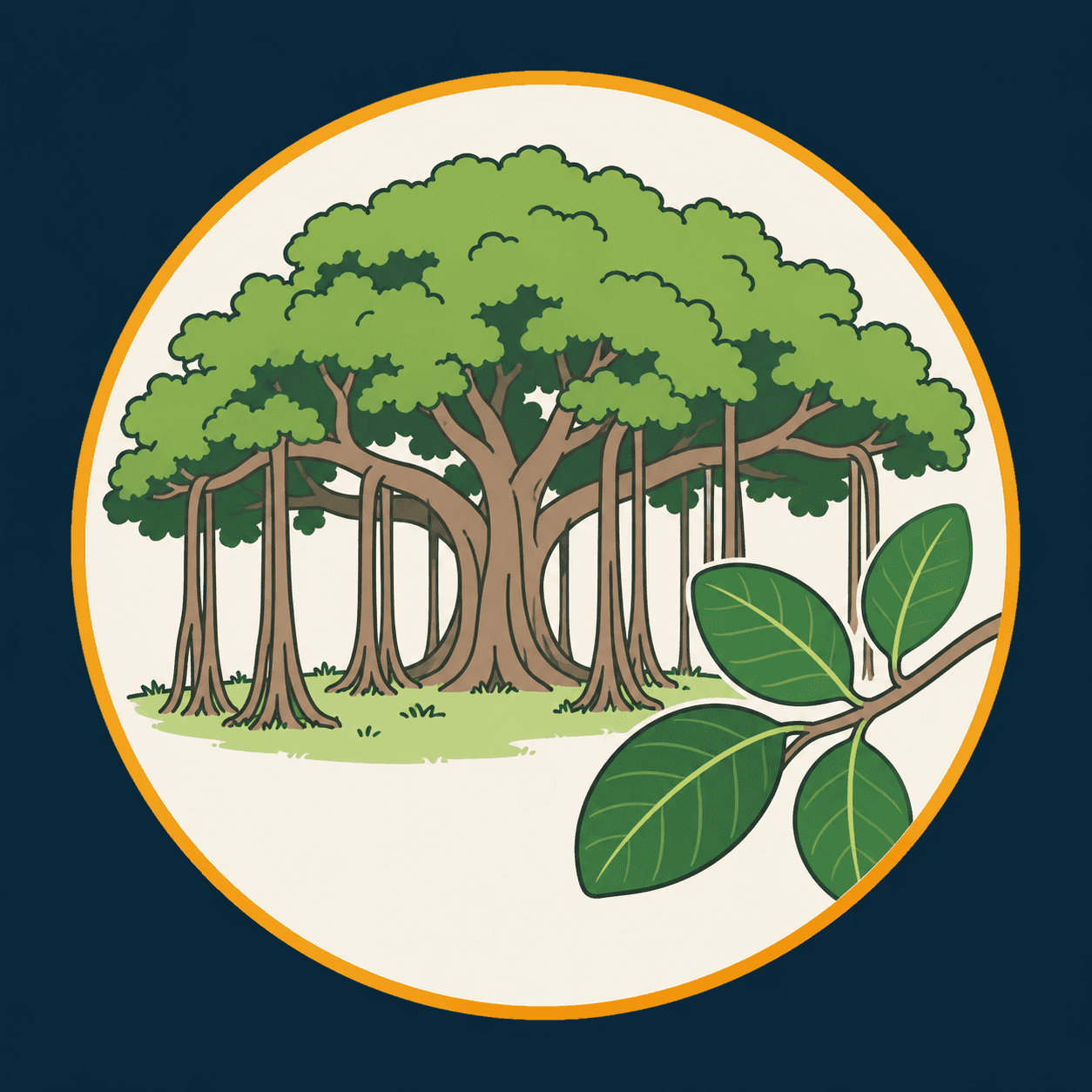 Illustrazione editoriale di Ficus benghalensis, con foglie ovali, chioma larga e radici aeree che collegano i rami al suolo come colonne.